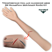 Тренировочная рука для наложения швов SM ФальшРана Шей-Людей RukSut-01