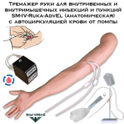 Тренажер руки для внутривенных и внутримышечных инъекций и пункций SM-IV-Ruka-AdvEl (рука с авто циркуляцией)
