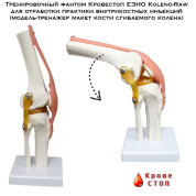 Тренировочный фантом Кровестоп ЕЗИО Koleno-Raw для отработки практики внутрикостных инъекций (модель-тренажер макет кости сгибаемого колена)