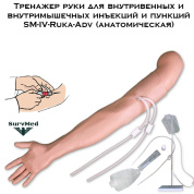 Тренажер руки для внутривенных и внутримышечных инъекций и пункций SM-IV-Ruka-Adv (рука анатомическая)