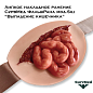 Носимое имитационное ранение СурвМед ФальшРана мод.Sili “Выпадение кишечника” (много мелких кишок)