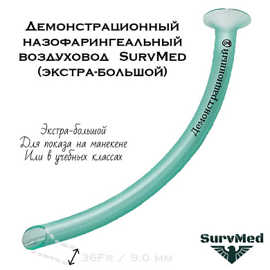 Демонстрационный назофарингеальный воздуховод (экстра-большой)