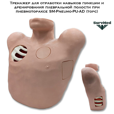 Тренажер для отработки навыков пункции и дренирования плевральной полости при пневмотораксе SM-Pneumo-PU-AD (торс)