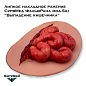 Липкое накладное ранение СурвМед ФальшРана мод.Sili “Выпадение кишечника” (много мелких кишок)