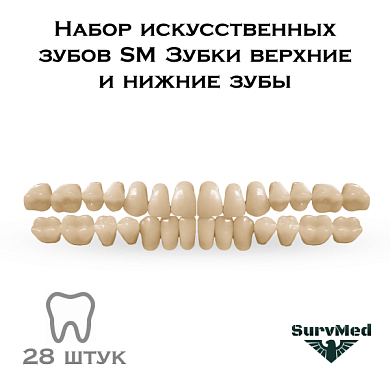 Набор искусственных зубов SM Зубки (28шт верхние и нижние зубы)