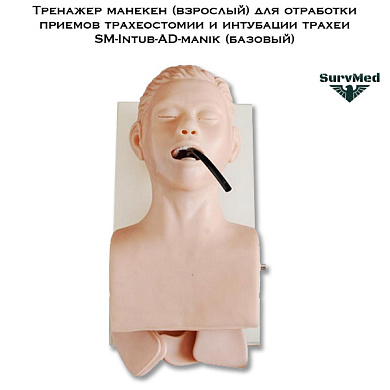 Тренажер манекен (взрослый) для отработки приемов трахеостомии и интубации трахеи SM-Intub-AD-manik (базовый)